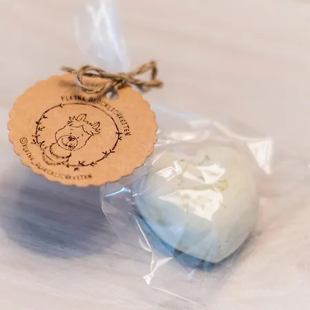 Maison d'hôtes Hoekis-zimmervermietung 1 3*